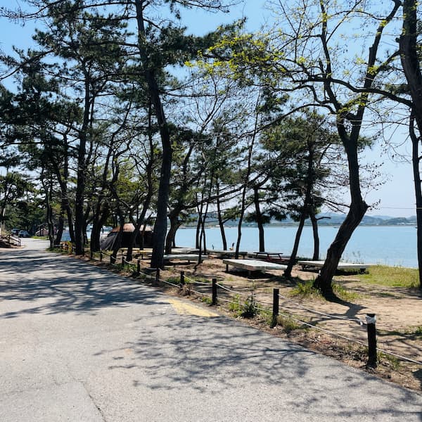 톱머리해수욕장